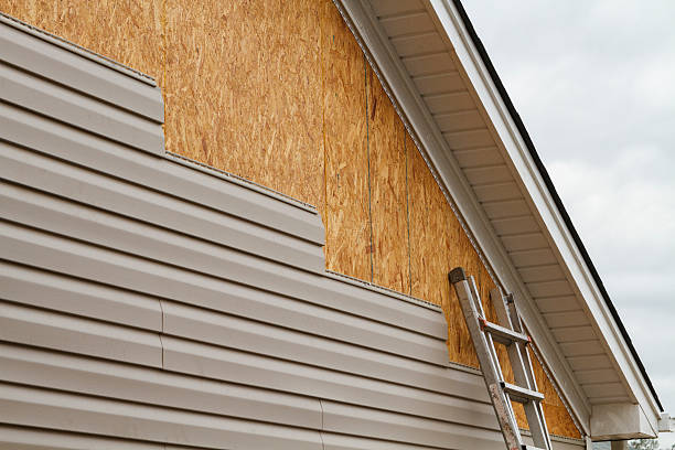 Professional Siding Inspection technician working in Bolingbrook, IL